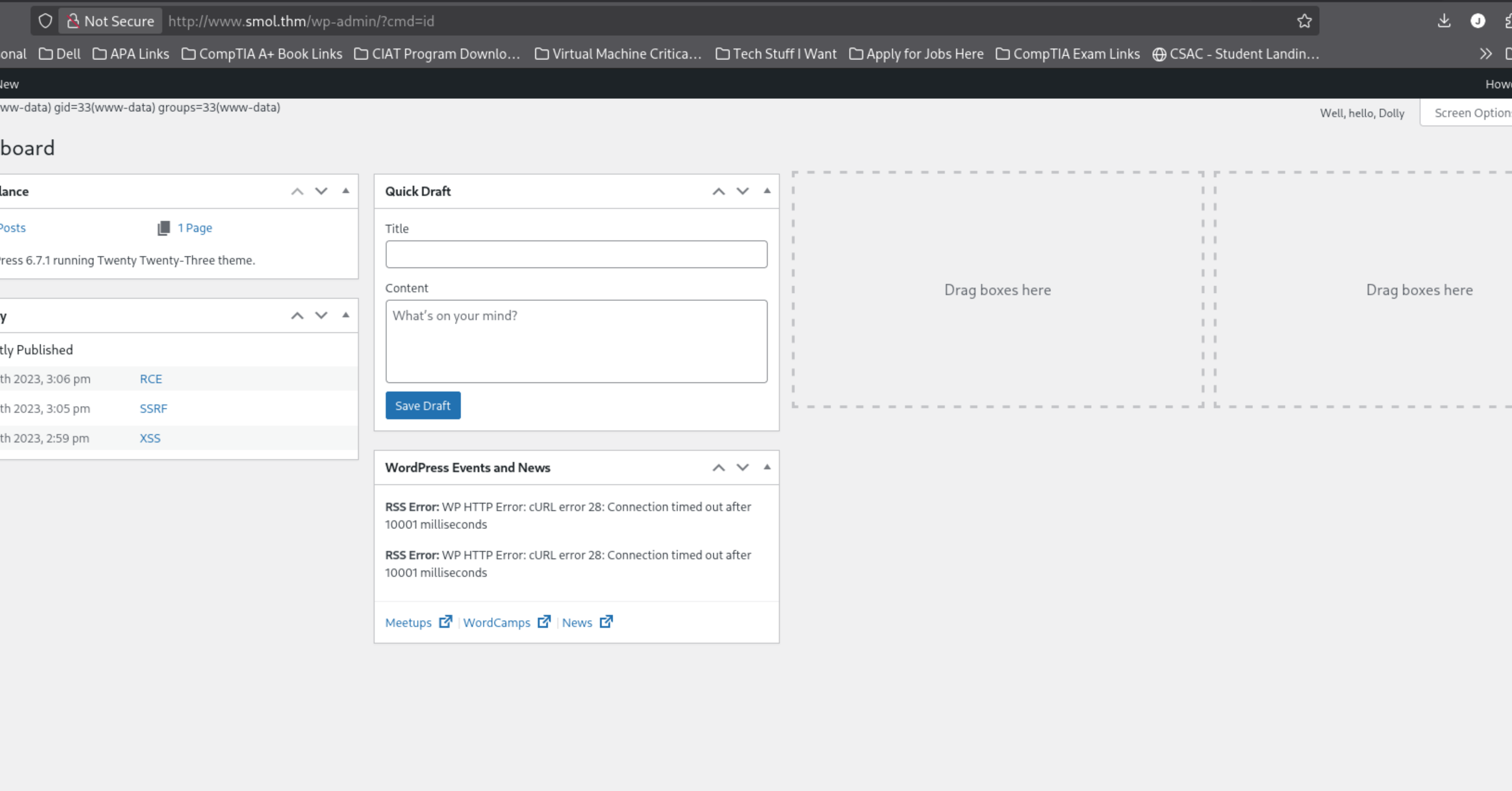 Authenticated browser command execution returning the www-data identity